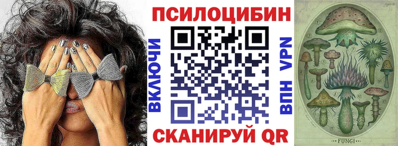 Купить закладки  Луза  Псилоцибиновые грибы Magic Shrooms 