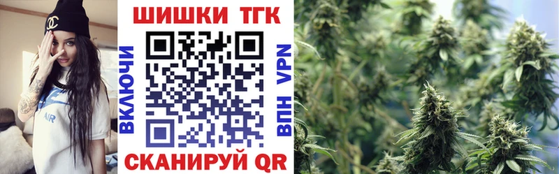 Бошки Шишки ГИДРОПОН  Купить  Луза 